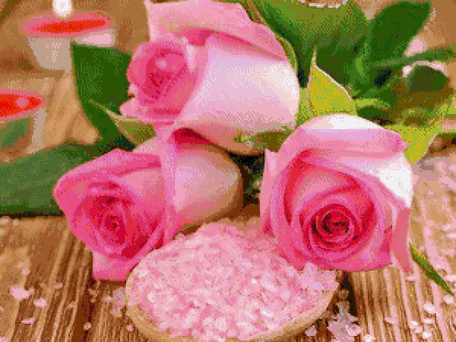 Розовые розы - цветы, букет - предпросмотр