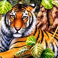 Схема вышивки «Тигр))»