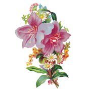 Схема вышивки «лилия»