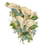 Схема вышивки «калла»