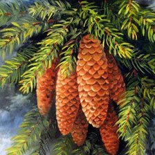 Схема вышивки «Шишки. символ крепкой семьи»