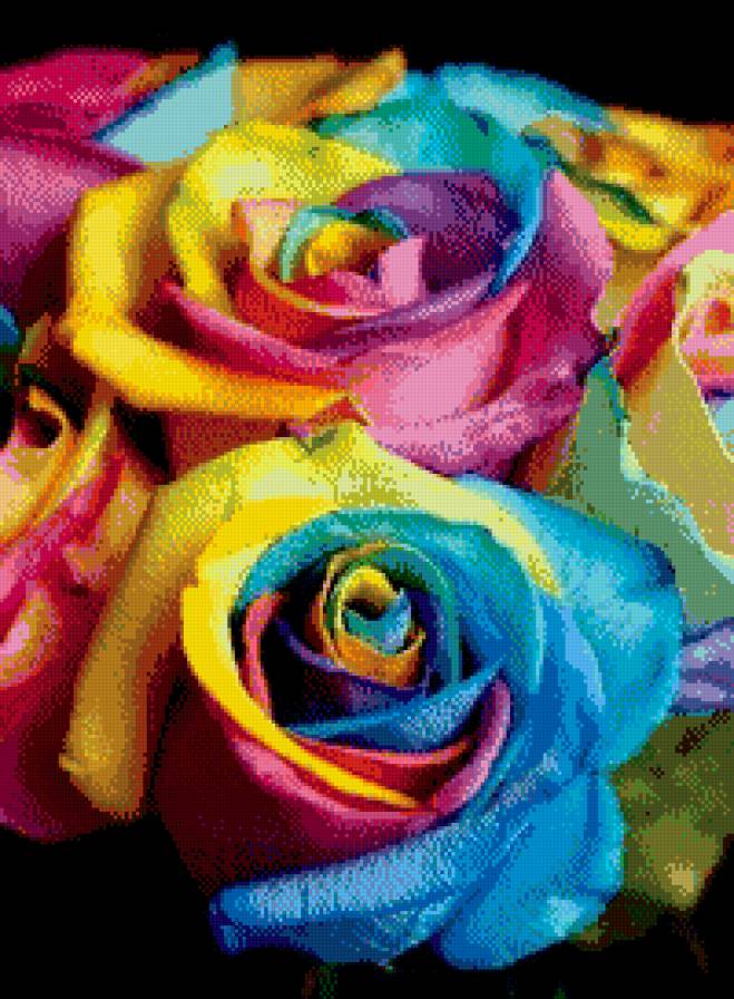 Радужная роза - предпросмотр