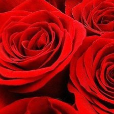 Схема вышивки «розы»