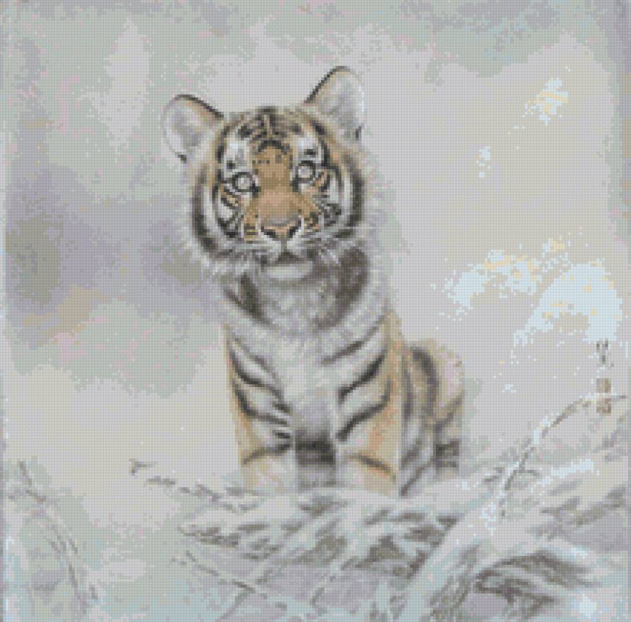 Тигренок - животные, тигренок - предпросмотр