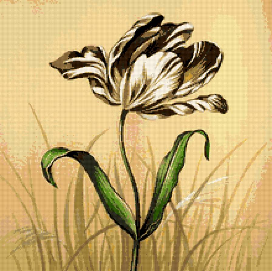 Тюльпан - цветы, тюльпан - предпросмотр