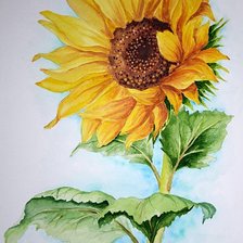 Схема вышивки «Подсолнух»