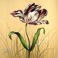 Схема вышивки «тюльпан .для себя»