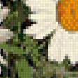 Предпросмотр схемы вышивки «Ромашки. для себя.» (№1086145)