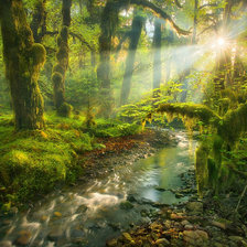 Схема вышивки «ручей в лесу»