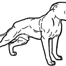 Схема вышивки «американский питбультерьер»