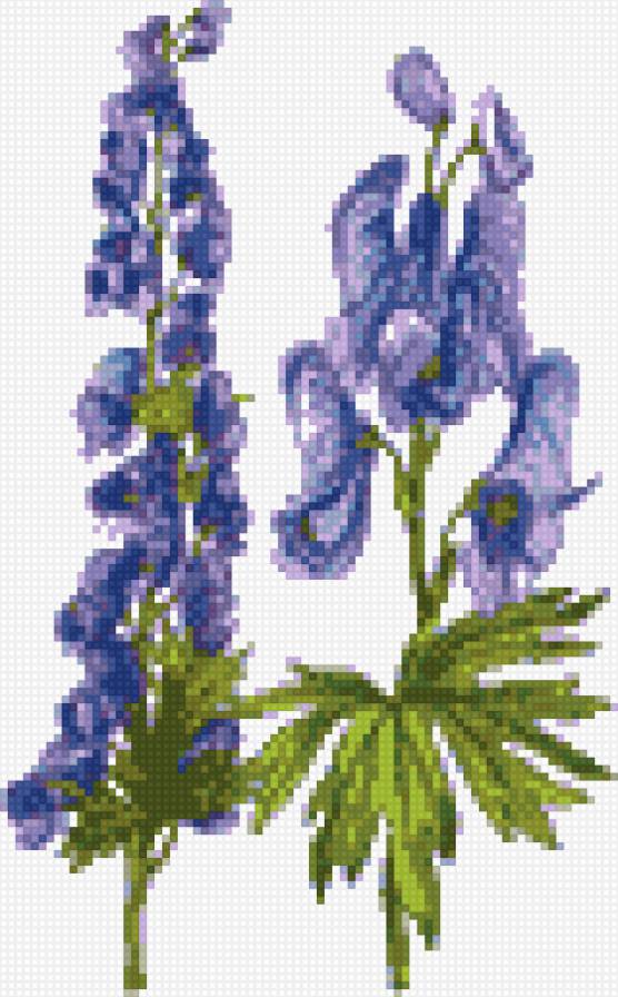 Волчий аконит для вышивки каймы - аконит - предпросмотр
