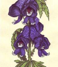 Схема вышивки «аконит 2»