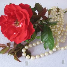 Схема вышивки «Натюрморт из моего сада»