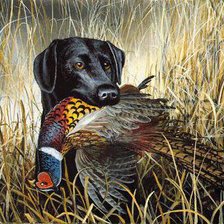 Схема вышивки «№1086984»