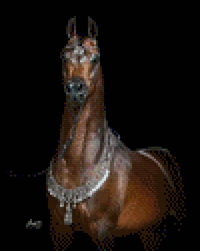 kon - loshad - предпросмотр