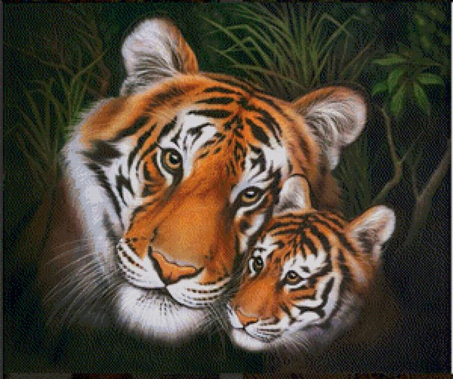 в мире животных - тигры, животные - предпросмотр