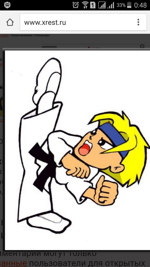 Тхэквондист (рамка 75×43 ) - оригинал