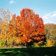 Схема вышивки «природа2»