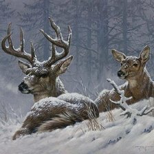 Схема вышивки «Олени»