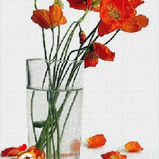 маки в вазе
