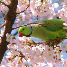 Схема вышивки «№1087988»