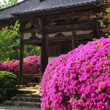 Схема вышивки «№1087995»