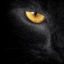 Схема вышивки «кошка»