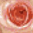 Предпросмотр схемы вышивки «нежность» (№1088188)