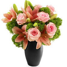 Схема вышивки «нежность»