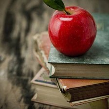 Схема вышивки «an apple»