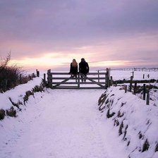 Схема вышивки «a couple1»