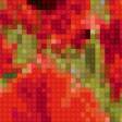 Предпросмотр схемы вышивки «Поле маков автор Воробьёва Н.В.» (№1088490)