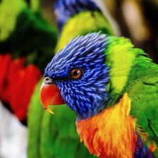 Схема вышивки «о автор Воробьёва Н.В»