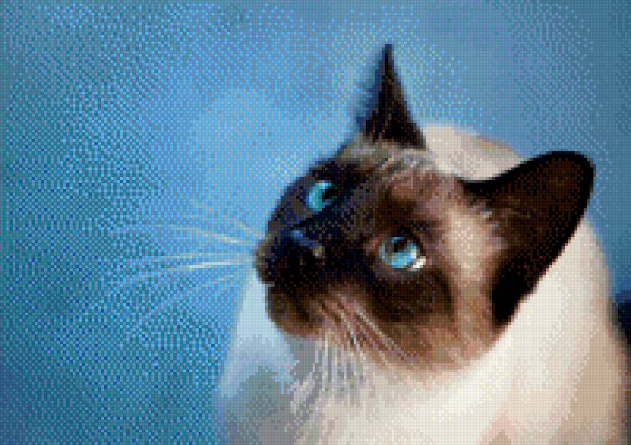 автор Воробьёва Н.В - предпросмотр