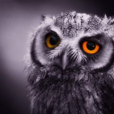 автор Воробьёва Н.В