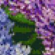 Предпросмотр схемы вышивки «Разноцветная сирень» (№1088539)