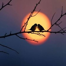 Схема вышивки «Любовь»