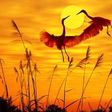 Схема вышивки «Танец журавлей»