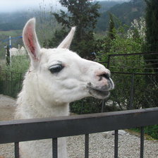 Схема вышивки «Лань»