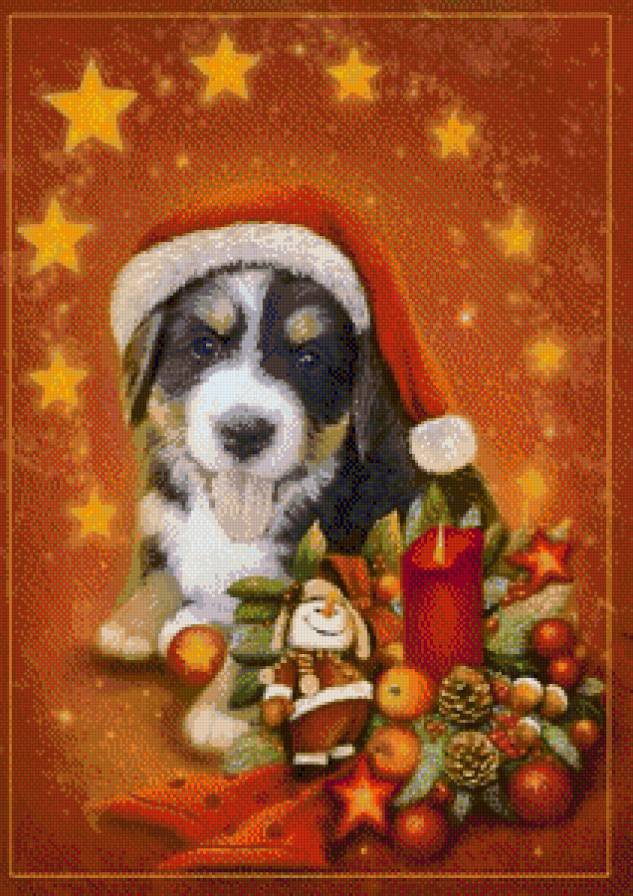 Песик - новый год, игрушки, собачка, шапочка - предпросмотр