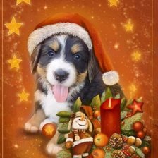 Схема вышивки «Песик»