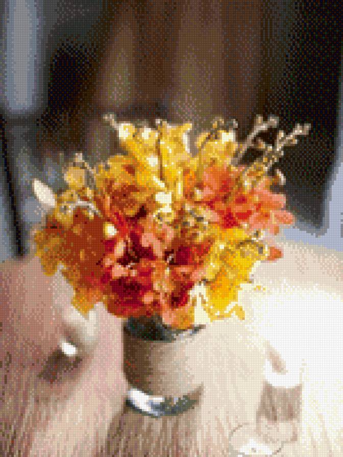 Цветы - растения, цветы - предпросмотр