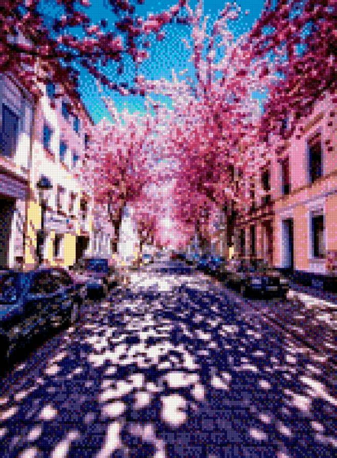 город - сакура, весна, город - предпросмотр