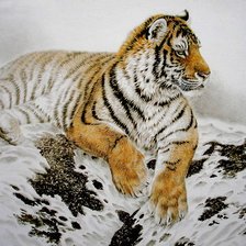 Схема вышивки «Тигр»