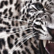 Схема вышивки «Хищники(правая часть)»