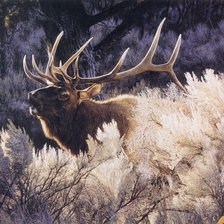 Схема вышивки «Зов.»