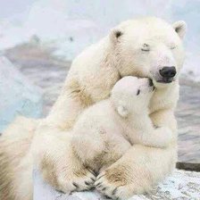 Схема вышивки «мишка+2»