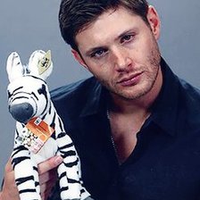 Схема вышивки «Дженсен Эклз»