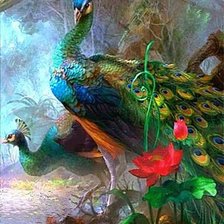 Схема вышивки «Павлины»