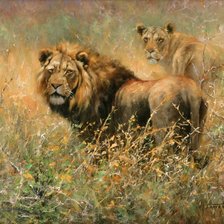 Схема вышивки «Львы»